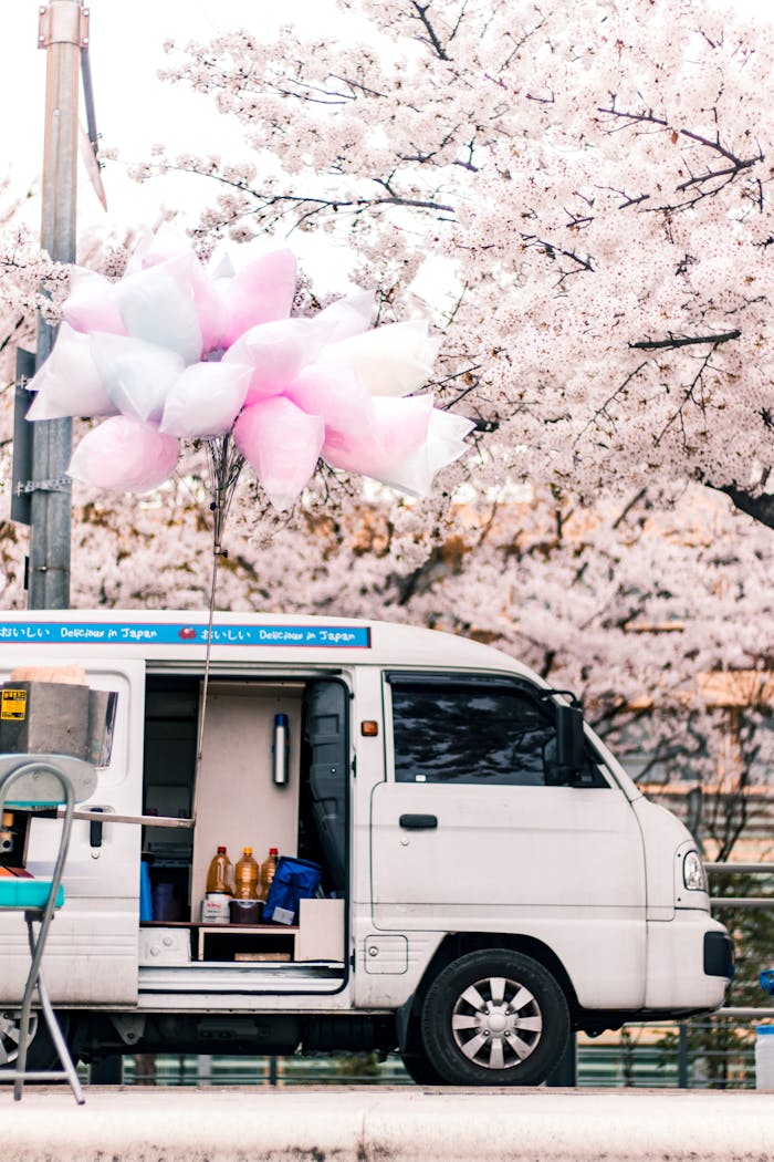 White van selling cotton candy surrounded by cherry blossoms in springtime Seoul.